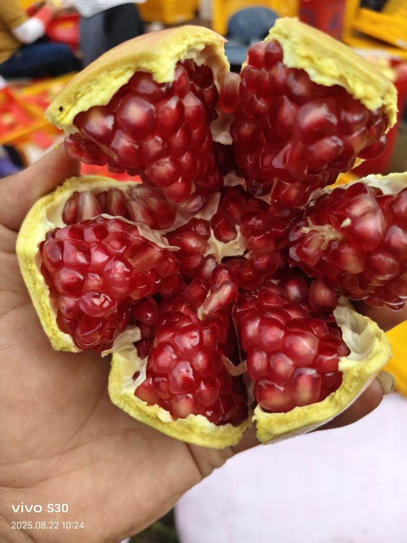 四川软籽石榴大小规格齐全水分足糖分高按需分拣打包有纸箱泡