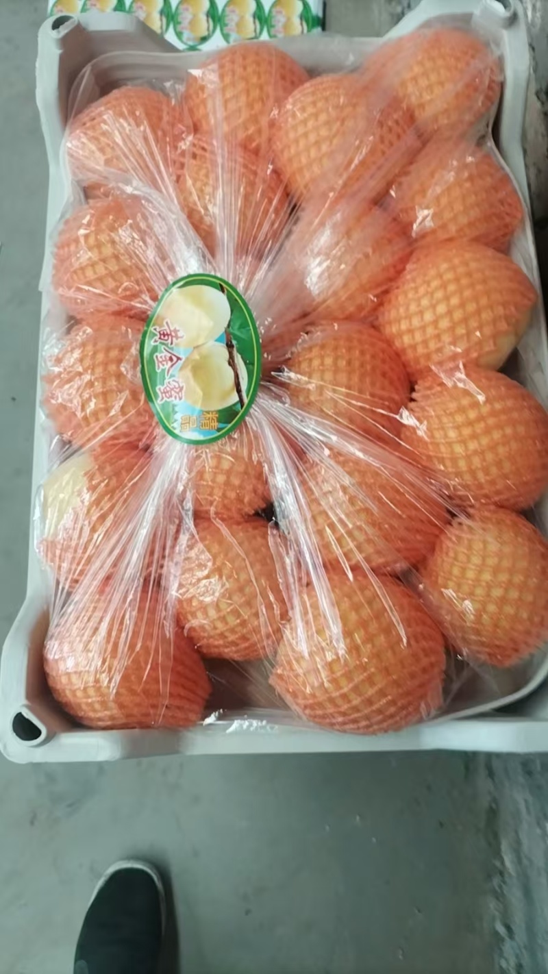 陕山毛桃黄金凤毛桃基地直发全国发货可视频看货