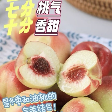 珍珠枣油桃蜜桃精品好货甜度高，电商，批发商湖北产地直发