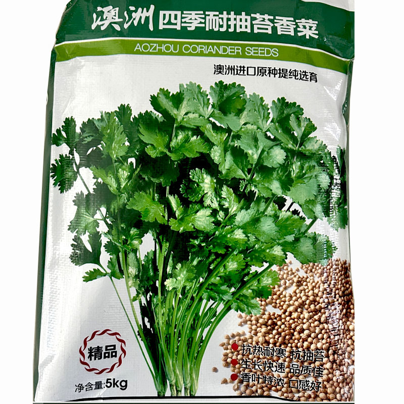澳洲四季耐抽苔香菜种子香味浓郁口感好叶大梗青基地型