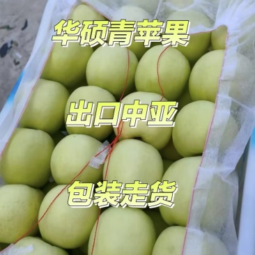 华硕苹果青苹果苹果采青酸甜可口产地直销全国发货等