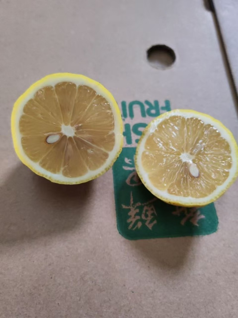 安岳柠檬已大量上市，产地直供大量有货质量保证一手货源