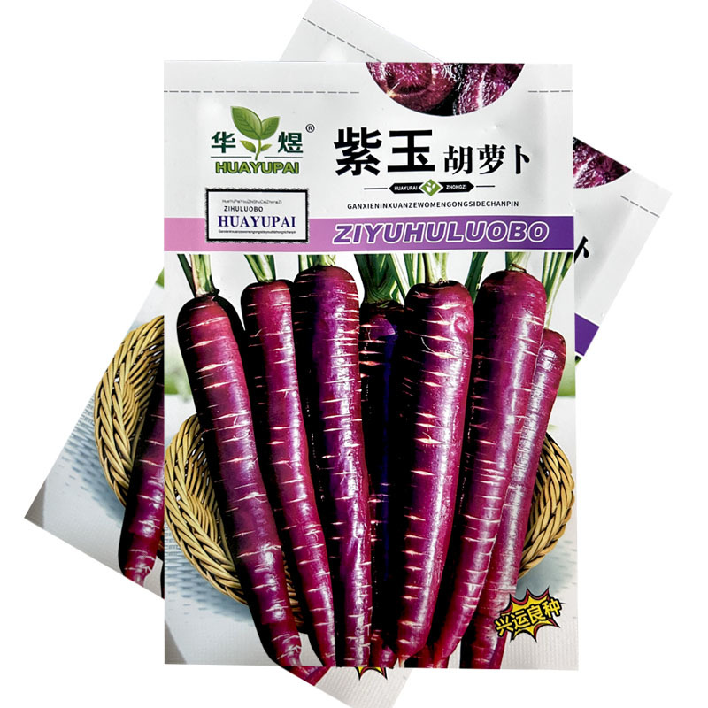 紫玉胡萝卜种子晚熟品种紫黑色心柱黄也可鲜食甜脆爽口