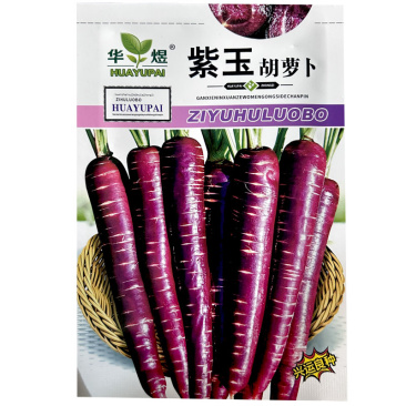 紫玉胡萝卜种子晚熟品种紫黑色心柱黄也可鲜食甜脆爽口