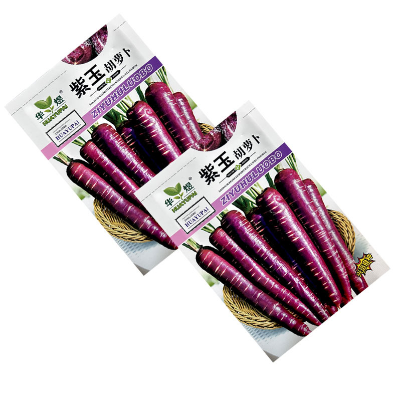 紫玉胡萝卜种子晚熟品种紫黑色心柱黄也可鲜食甜脆爽口