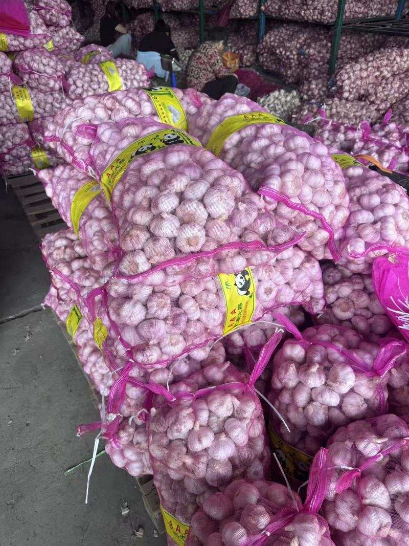 金乡大蒜