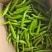 鲜辣椒，杭椒，薄皮，螺丝椒，美人椒，等各种辣椒