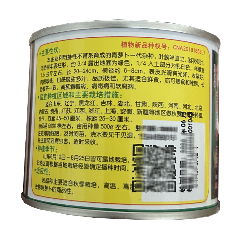 德高秋玉水果萝卜种子甜脆青萝卜种籽收尾好100g秋冬耐储