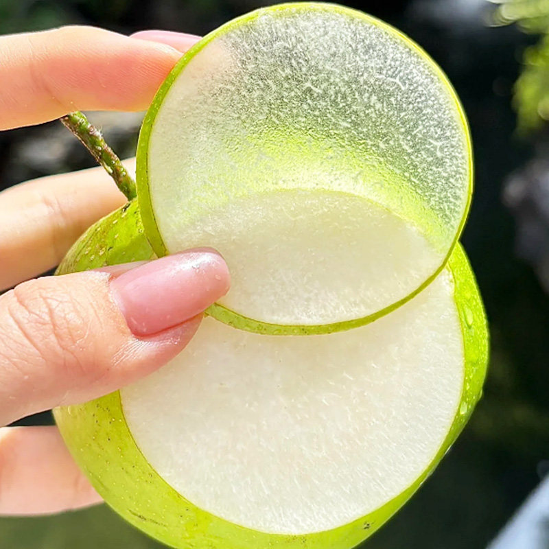 砀山青梨翠玉梨当季新鲜水果梨子整箱青皮梨脆梨包邮一件代发