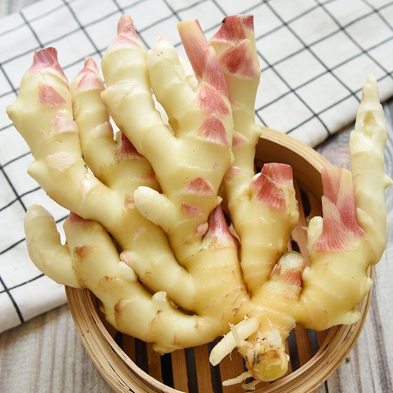 山东红芽嫩姜仔姜新姜红芽姜新鲜生姜时令应季一件代发