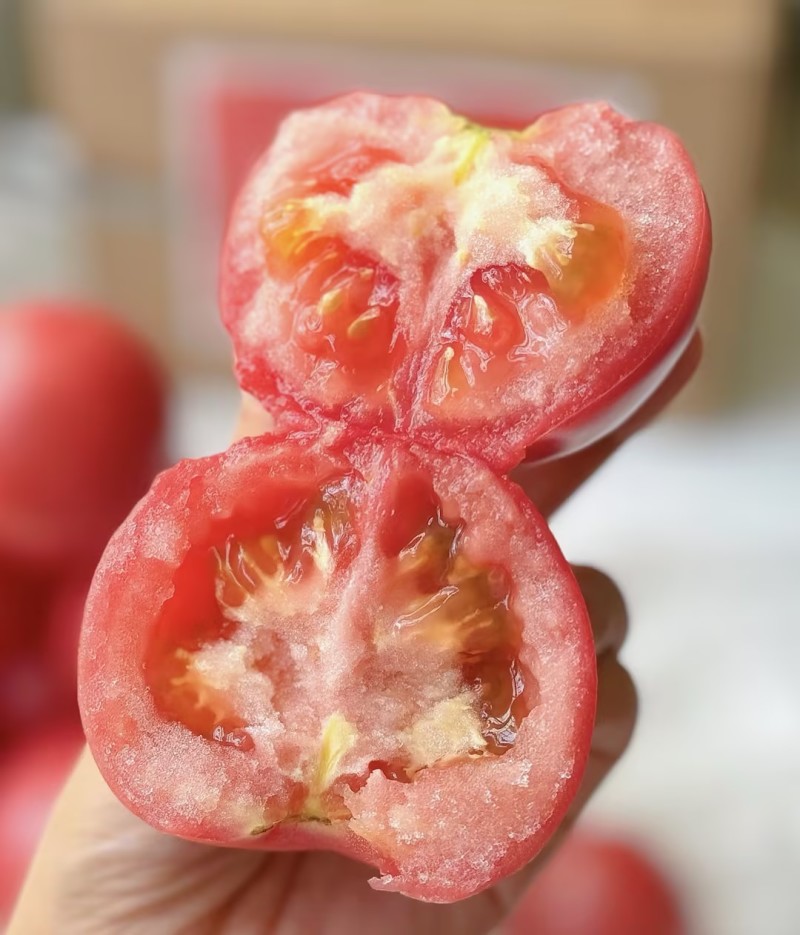 西红柿云南硬粉西红柿🍅产地直发量大从优可对接全国电商等