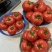 西红柿云南硬粉西红柿🍅产地直发量大从优可对接全国电商等