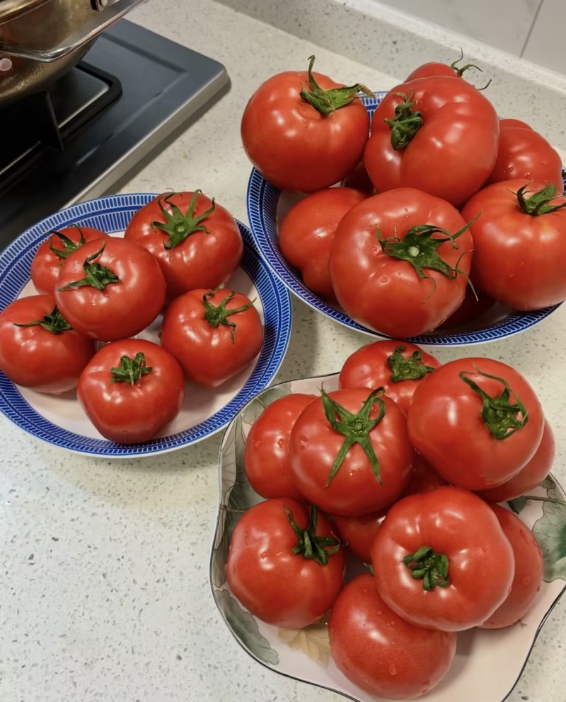 西红柿云南硬粉西红柿🍅产地直发量大从优可对接全国电商等