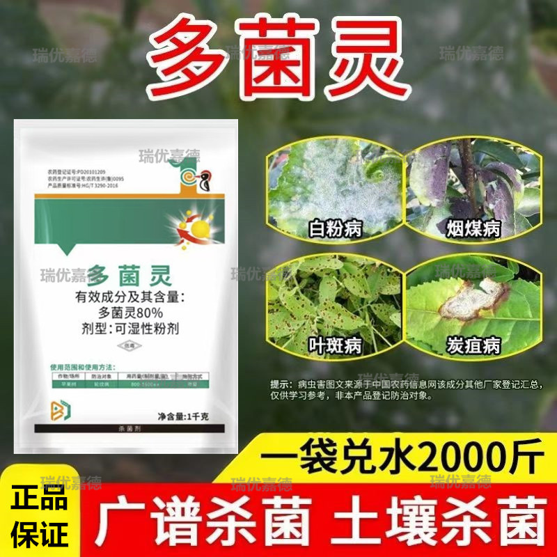 80%多菌灵农药园艺植物多肉烂根腐烂病预防保护杀菌