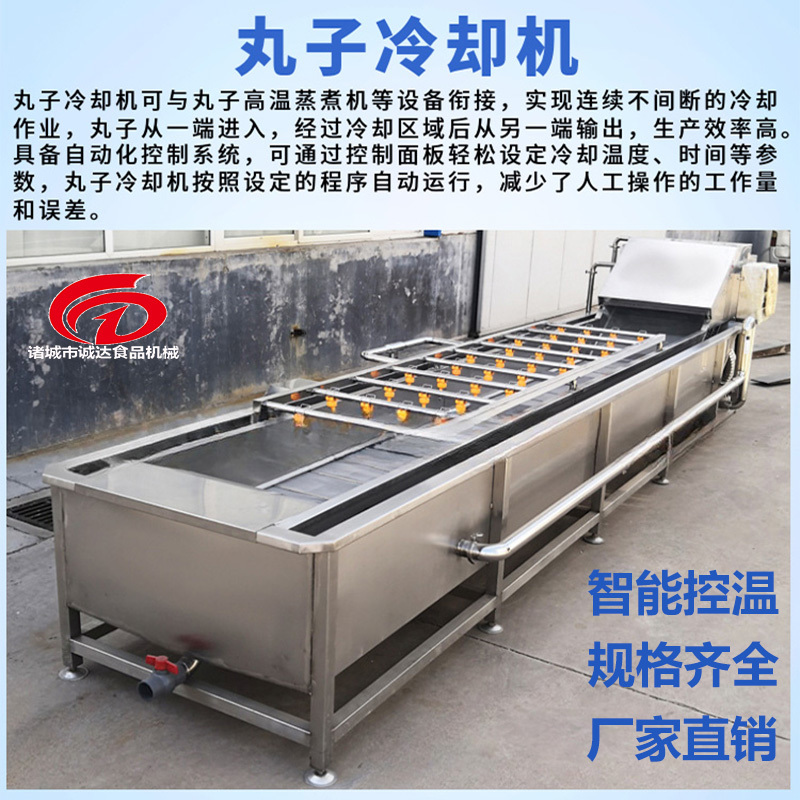 诸城诚达机械丸子蒸煮流水线肉丸成型加工设备厂家直销
