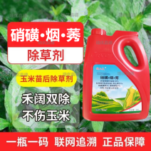 30%硝·烟·莠去津玉米苗后专用除草剂狗尾草封闭除草禾阔
