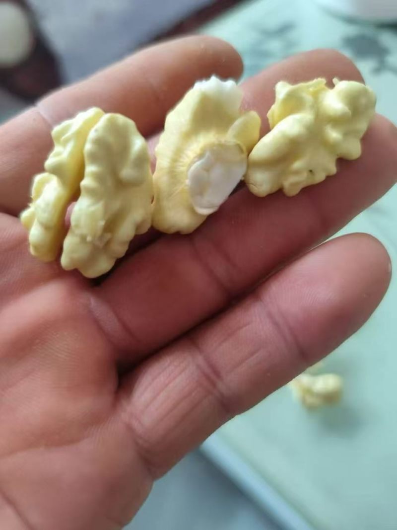 青皮核桃、水核桃青仁核桃、纸皮鲜核桃、老树山核桃绵仁核桃