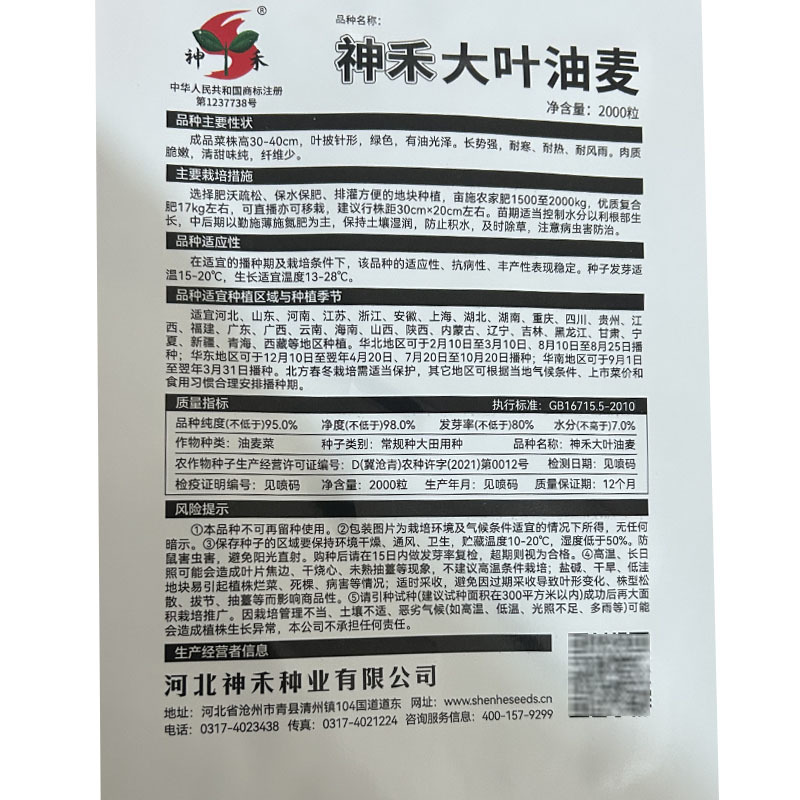 大叶油麦菜种子绿色有油光泽耐寒耐热肉质甜脆大田基地