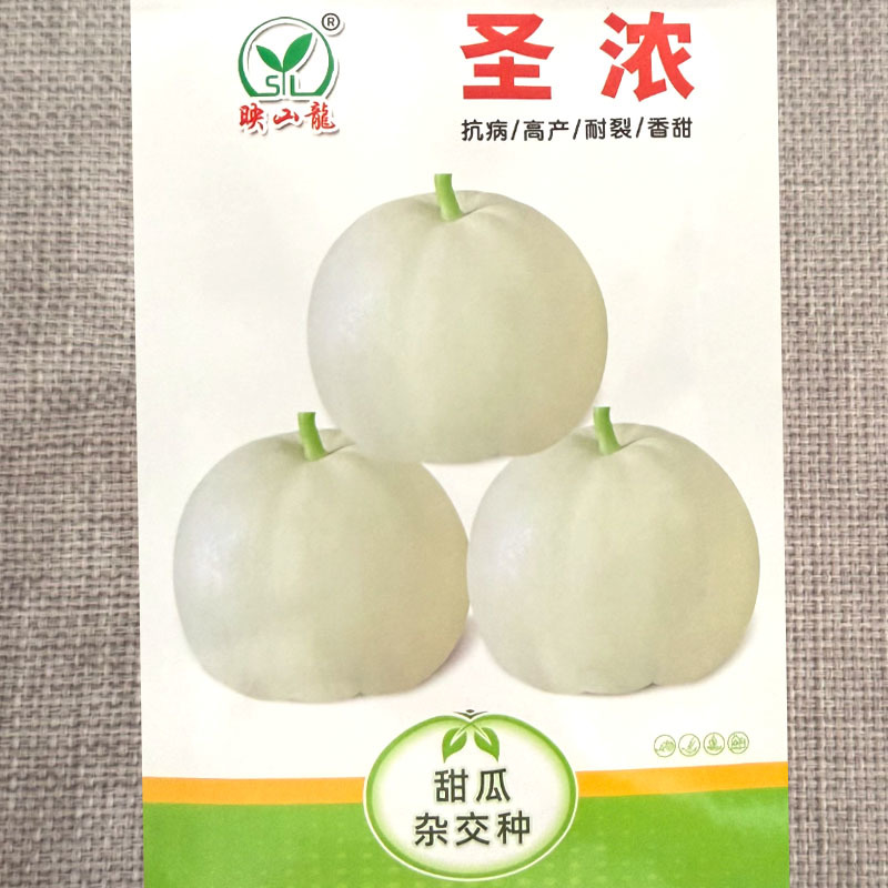 圣浓甜瓜种子抗病高产耐裂香甜瓜圆扁梨形肉色淡绿糖度高