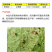 唑螨酯5%柑橘树红蜘蛛螨虫果蔬农用农药杀螨杀虫剂500