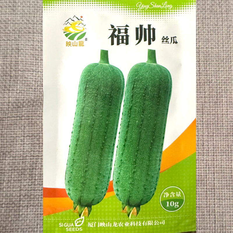 福帅丝瓜种子中熟肉丝瓜种籽果型端正皮肉翠绿肉质脆爽甘甜