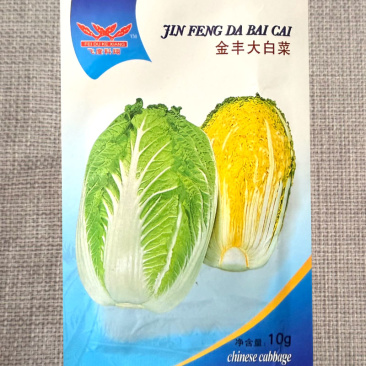 金丰大白菜种子早熟黄心白菜种籽晚抽苔中球炮弹型合抱抗病