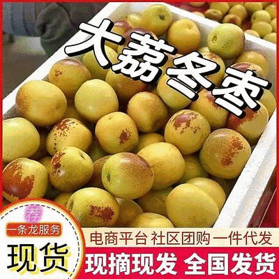 《冬枣》产区直发/对接电商/市场、出口欢迎前来洽谈
