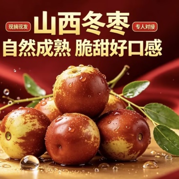 山西冬枣清甜爽口，电商供货，一件代发，商超直供，社团团购