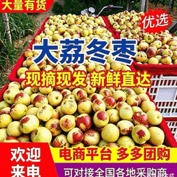 【大荔冬枣】陕西冬枣/基地现摘/对接批发~商超~电商平台