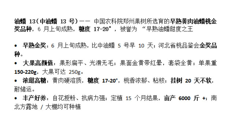 亚果种苗【油蟠13】早熟黄肉油蟠桃新品种庭院盆栽地栽果树