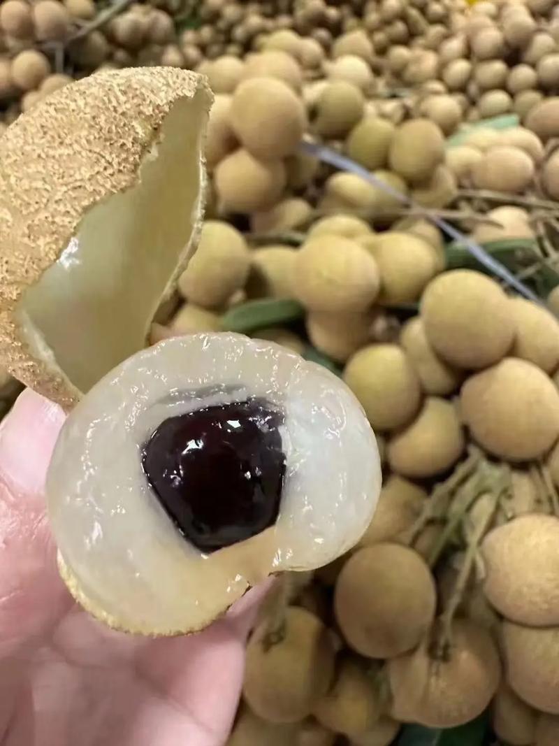 精品储良龙眼产地直发对接电商市场商超可视频看货