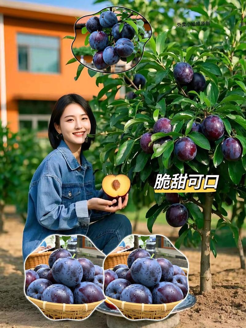 黑霸王