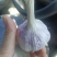 紫皮蒜山东大蒜产地直发保质保量对接全国等