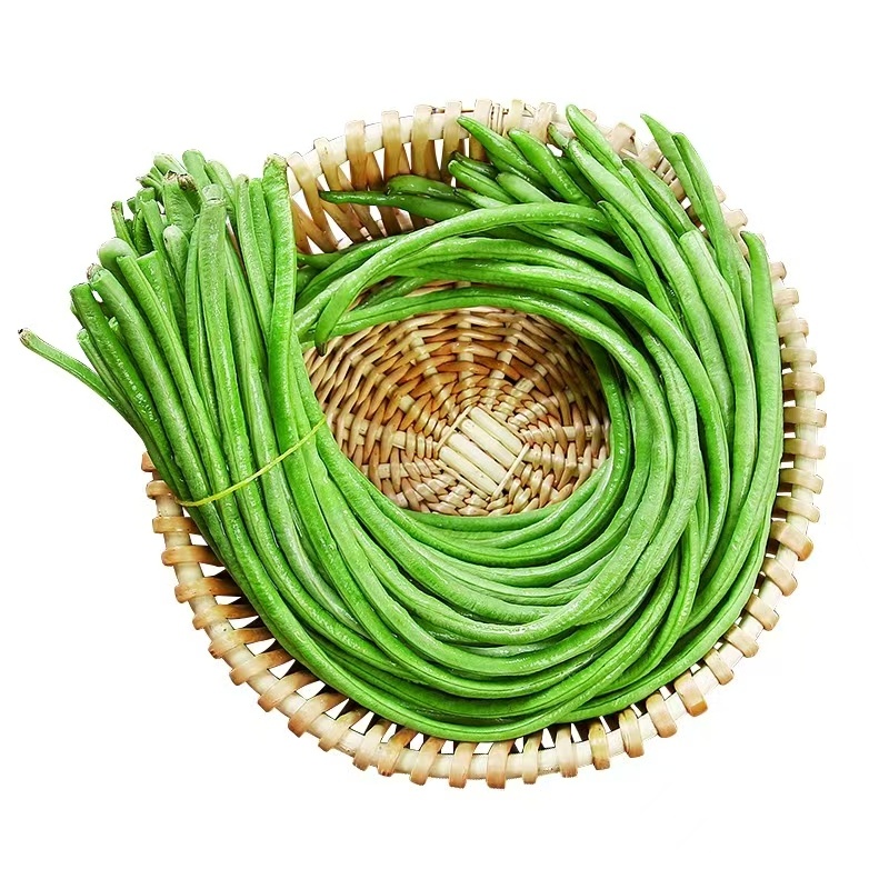 江苏豆角，青条长豆角，规模种植，价格低视频看货，线上交易