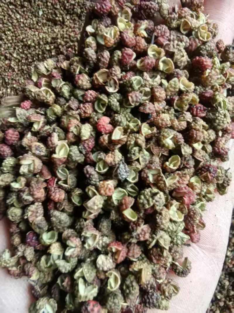 金阳特级花红椒产地直发，价格优惠，质量保证，量大优先