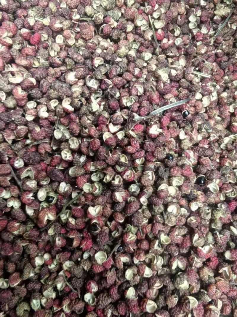 金阳特级花红椒产地直发，价格优惠，质量保证，量大优先