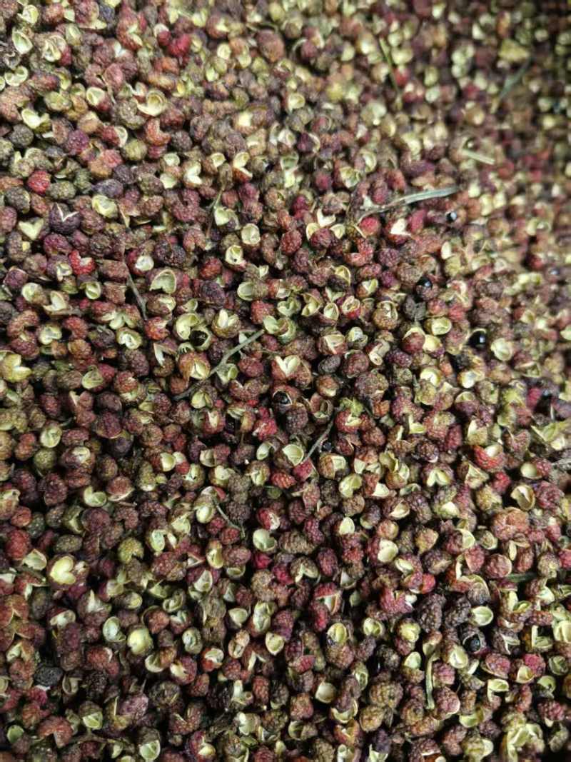 金阳特级花红椒产地直发，价格优惠，质量保证，量大优先
