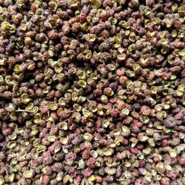金阳特级花红椒产地直发，价格优惠，质量保证，量大优先