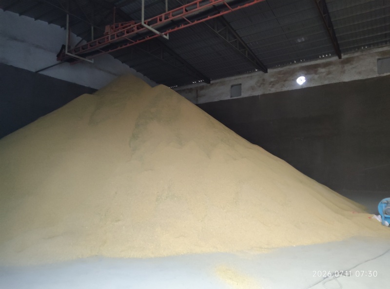 早稻大量上市产地直发价格优惠欢迎来电洽谈