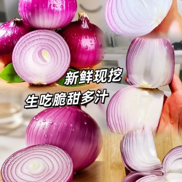 丰县精品红皮洋葱产地直发货源充足量大价优欢迎来电