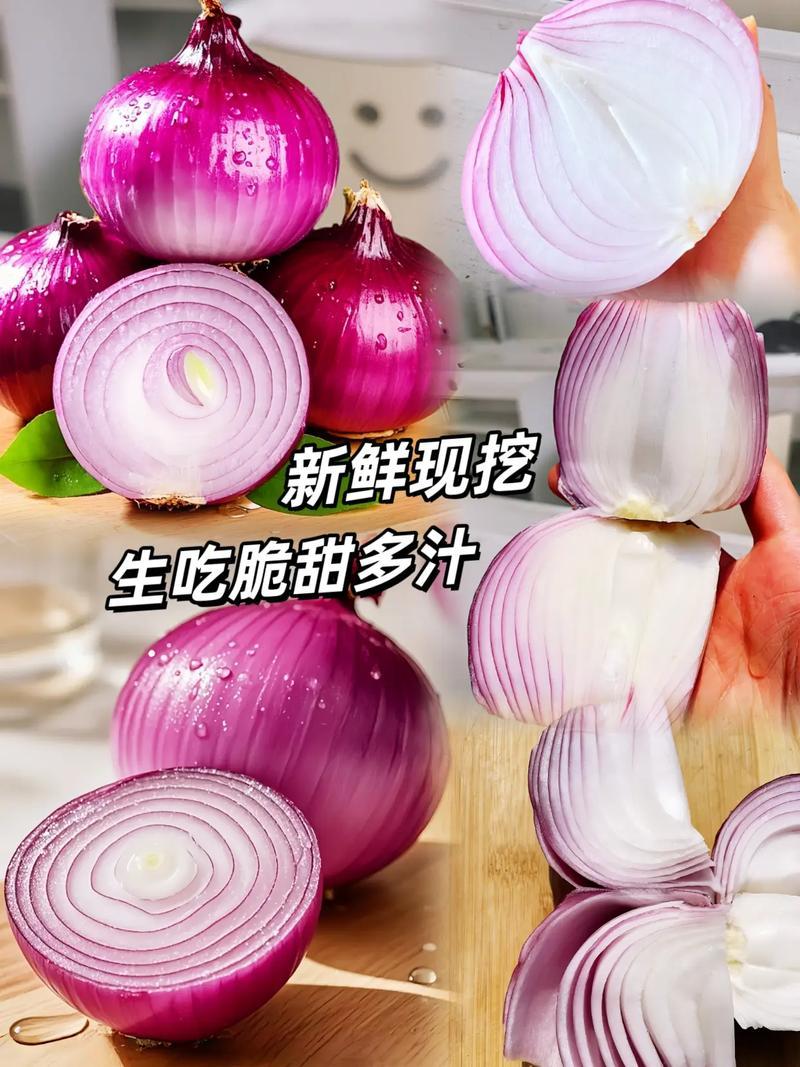 丰县精品红皮洋葱产地直发货源充足量大价优欢迎来电