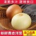 丰县精品黄皮洋葱产地直发量大价优保质保量欢迎来电