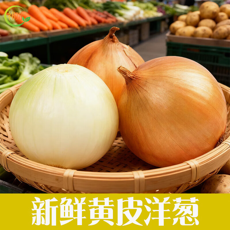丰县精品黄皮洋葱产地直发量大价优保质保量欢迎来电