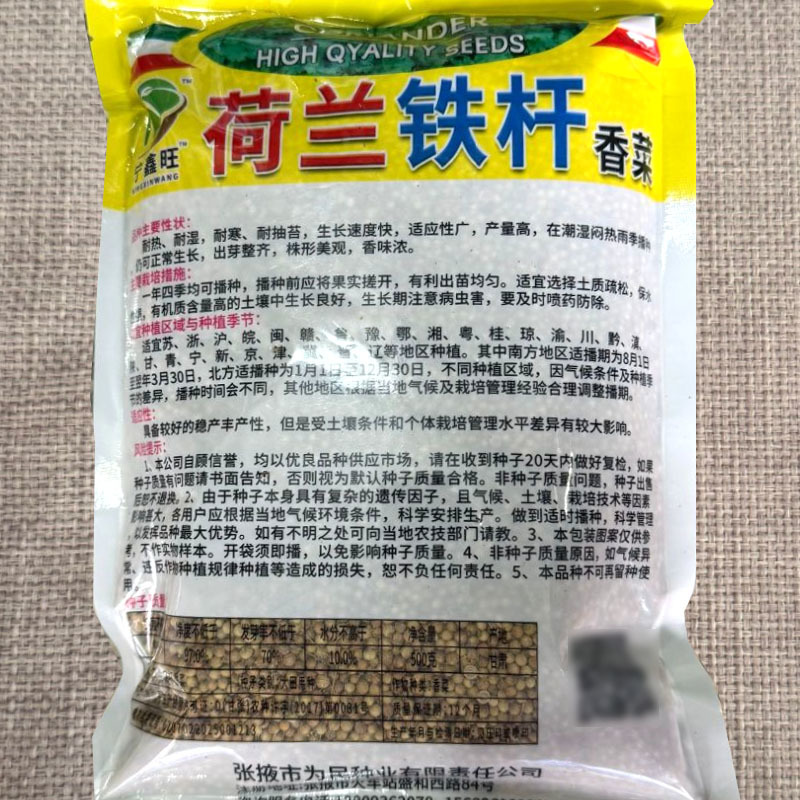 荷兰铁杆香菜种子香味浓郁耐热耐寒耐抽苔大田基地大面积种植