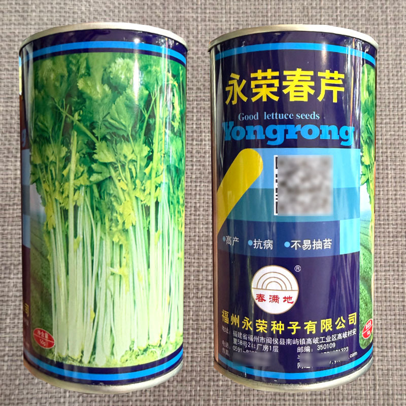 永荣春芹种子冬春耐寒耐湿耐抽苔香芹种子高产抗病空心芹种子