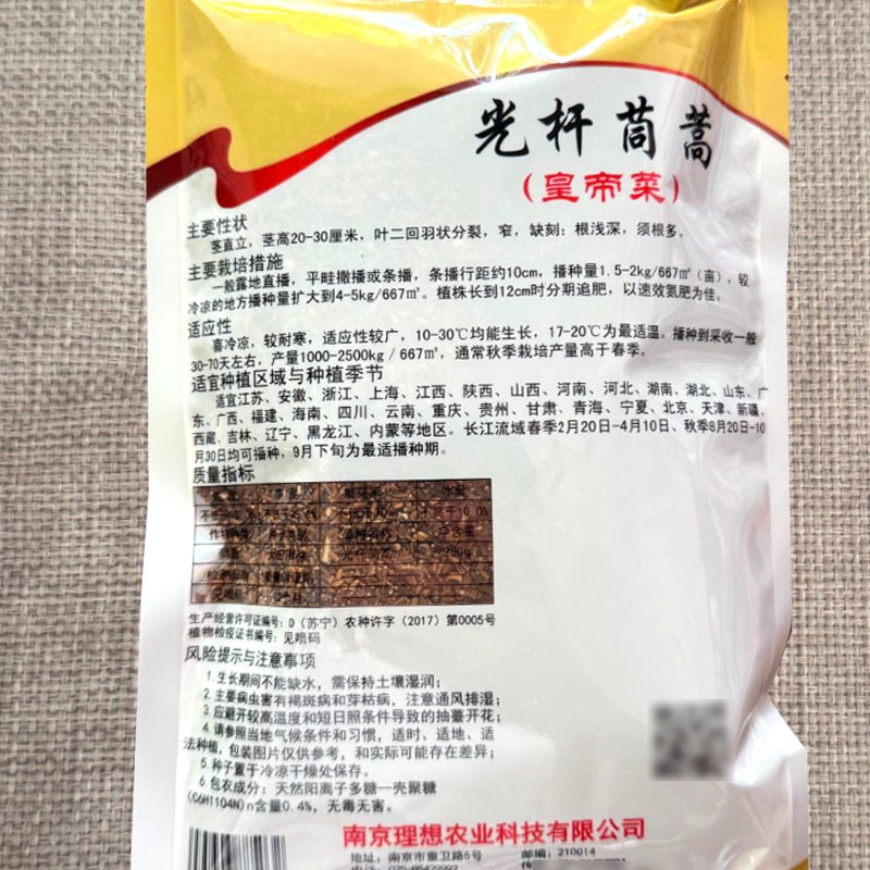 光杆茼蒿种子皇帝菜种籽茎直立耐热耐寒大田基地大面积种植