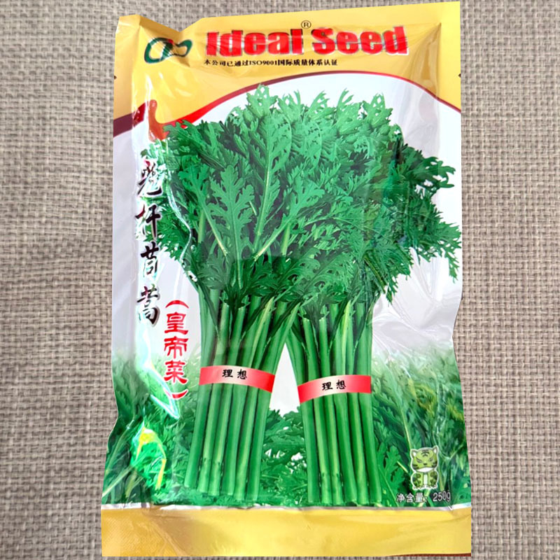 光杆茼蒿种子皇帝菜种籽茎直立耐热耐寒大田基地大面积种植