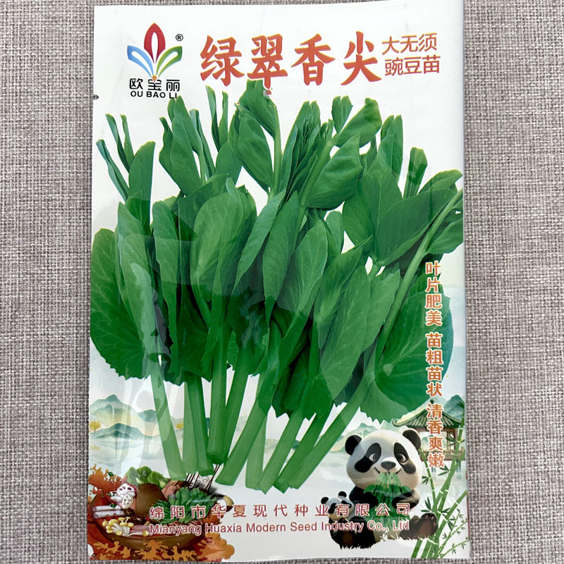 大无须豌豆苗种子叶片肥美苗粗苗壮清香爽嫩大田基地型