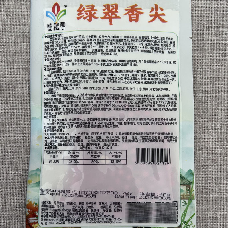 大无须豌豆苗种子叶片肥美苗粗苗壮清香爽嫩大田基地型