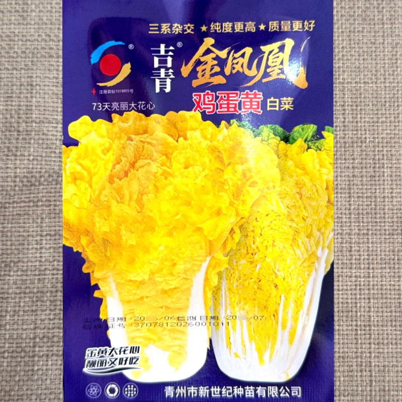 金凤凰鸡蛋黄白菜种子高抗病秋季黄心大白菜种籽耐寒耐热耐雨